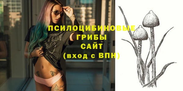не бодяженный Алзамай