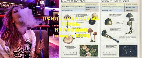скорость Алексин