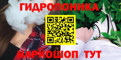 спиды Берёзовский