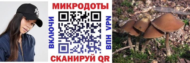 Галлюциногенные грибы мицелий Воткинск